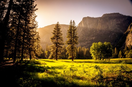 green-grass-field-and-green-tress-during-day-time-131723.jpg